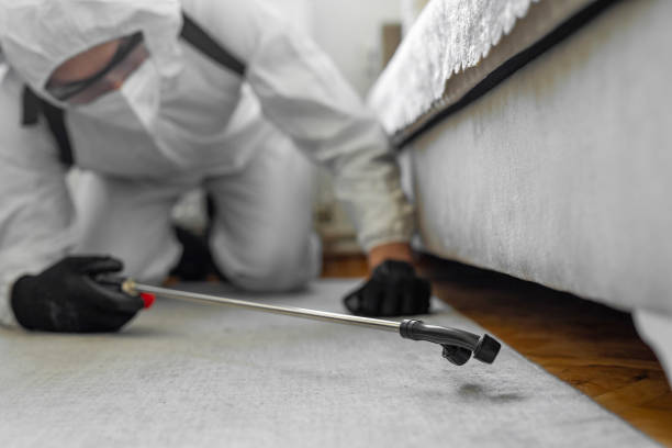 Professional Termite Control technician working in Bull Mountain, OR